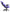 Color_Zen Purple