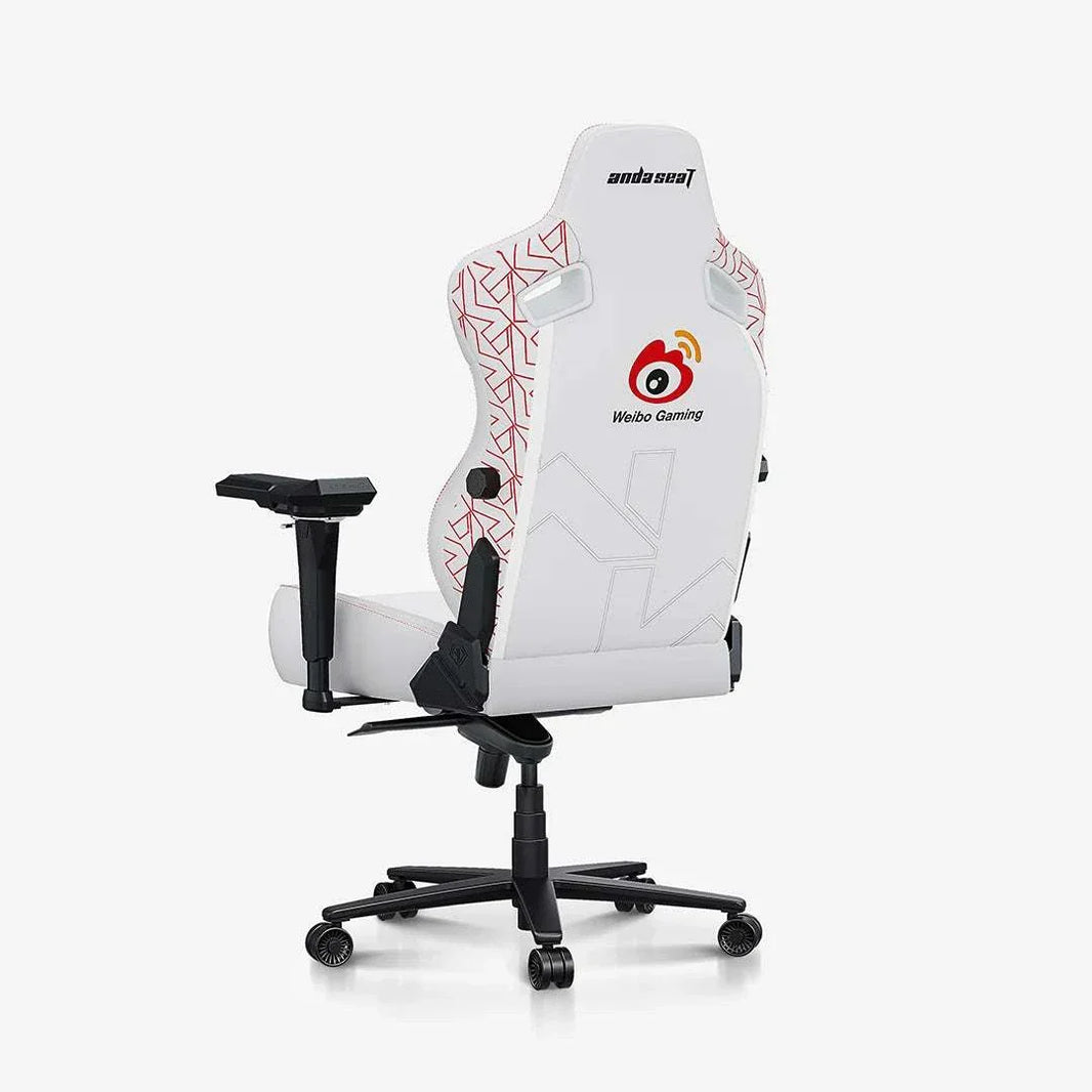 AndaSeat Kaiser 3 Pro Gaming Chair, WBG Edition, product image 2