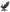Color_Black with XL size lumbar pillow