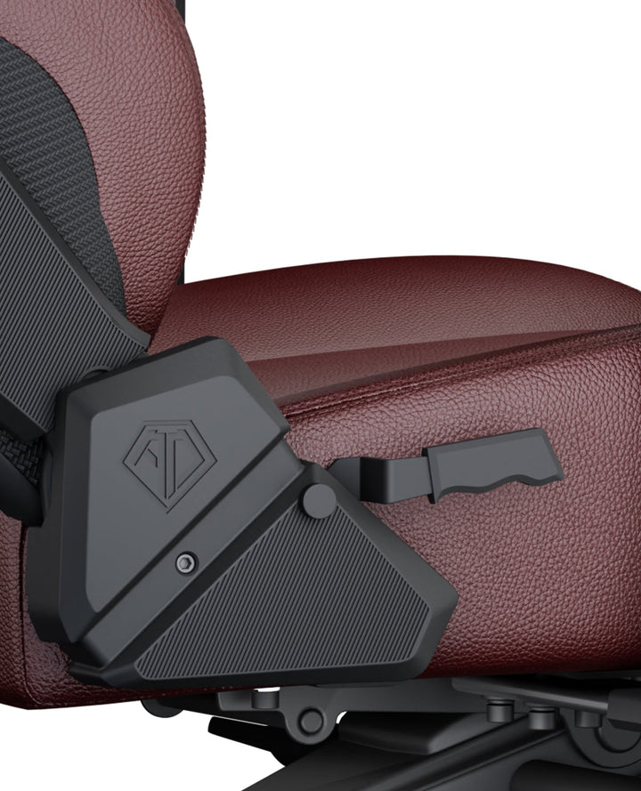 AndaSeat 2022 New Kaiser 3 Series Premium Gaming Chair